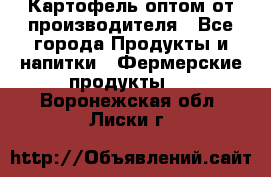 Картофель оптом от производителя - Все города Продукты и напитки » Фермерские продукты   . Воронежская обл.,Лиски г.